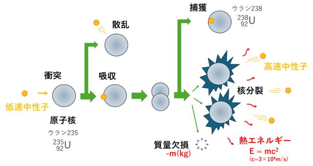 核分裂のメカニズム